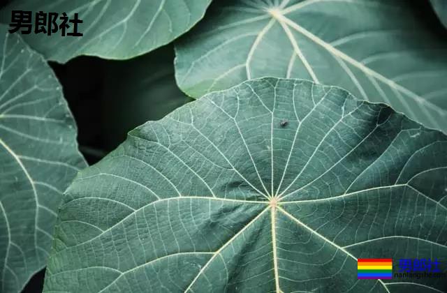 超帅肌肉体育生,太好看了趴! - 51虹马 超帅肌肉体育生,太好看了趴! - 51虹马