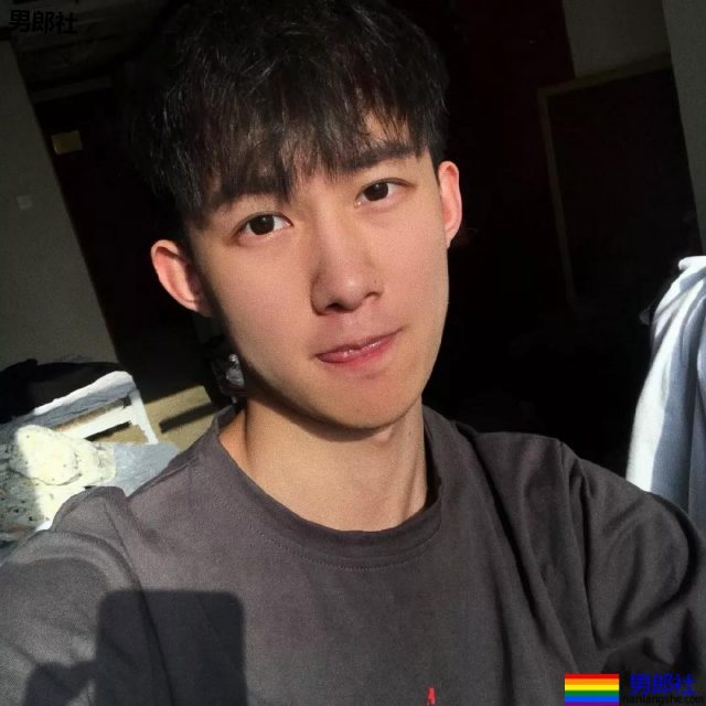 阳光又甜帅，这个小奶狗真是太阔耐了！ - 51虹马