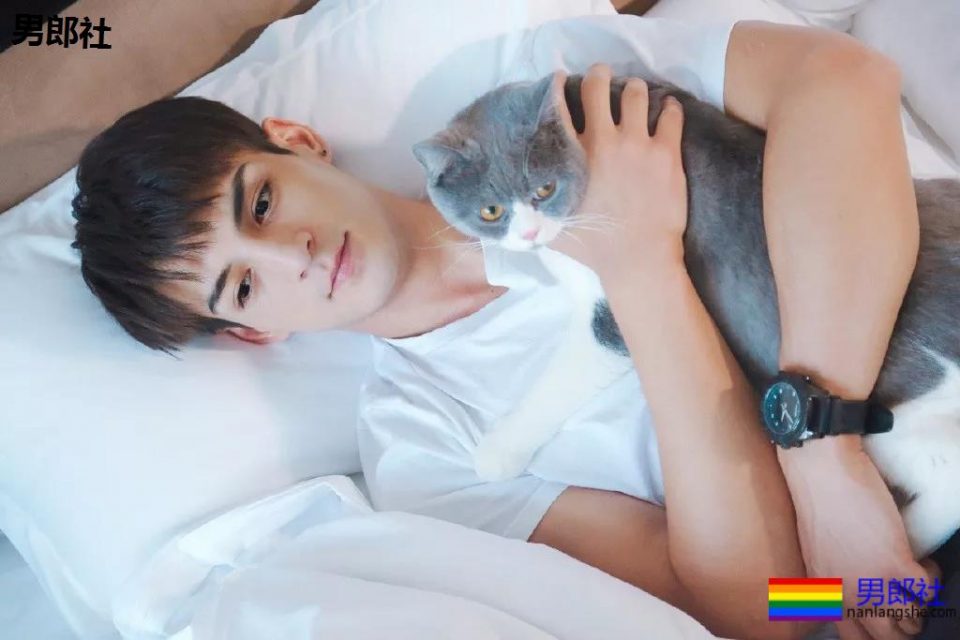 陈伟霆开车"可前可后"，黄景瑜紧身衣秀身材！还有这些狼狗腰腱子肉天菜！ - 51虹马