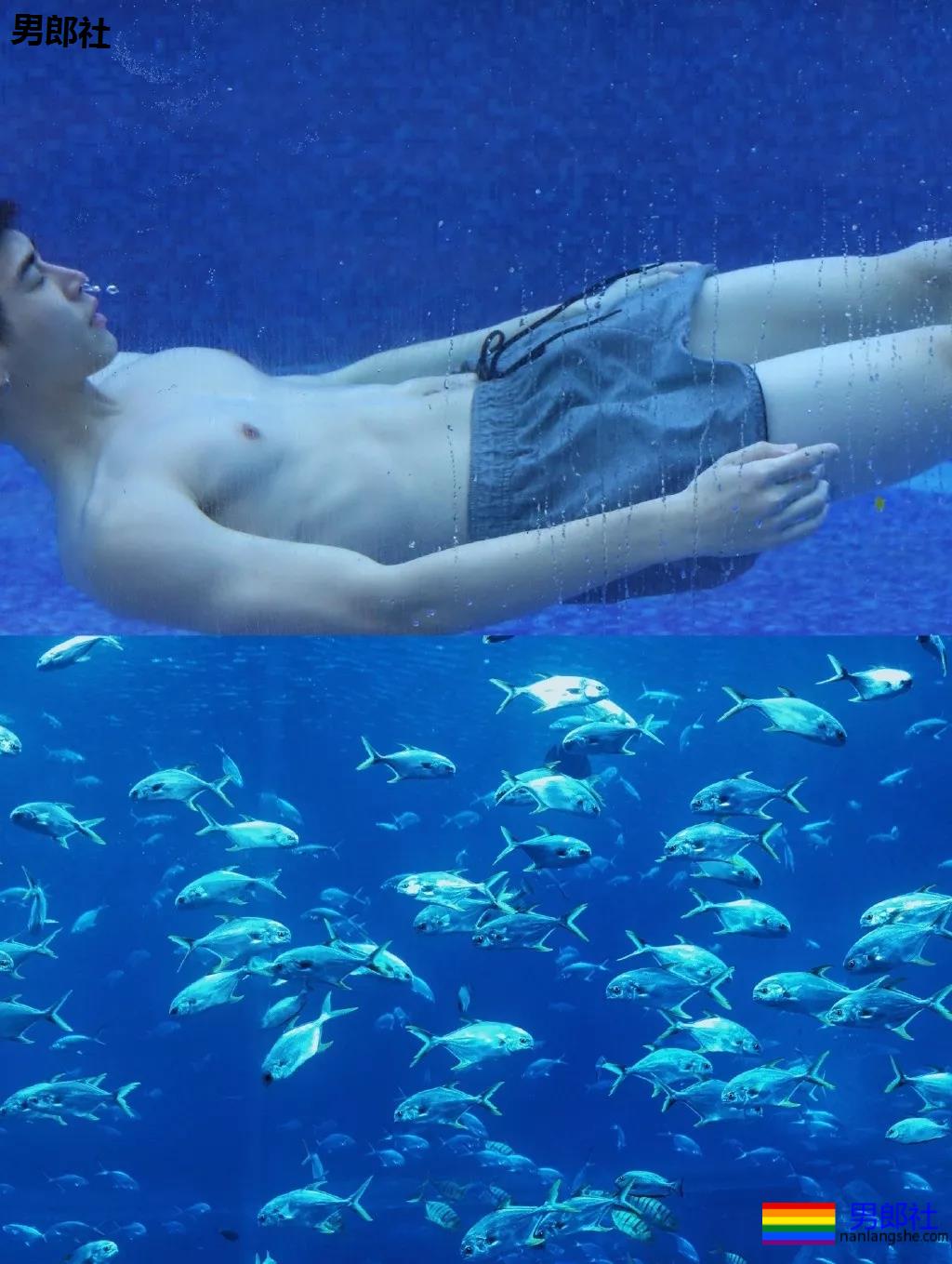 187小狼狗天台秀肌肉被疯传！长腿薄肌鼻子挺，真的太帅了！ - 51虹马