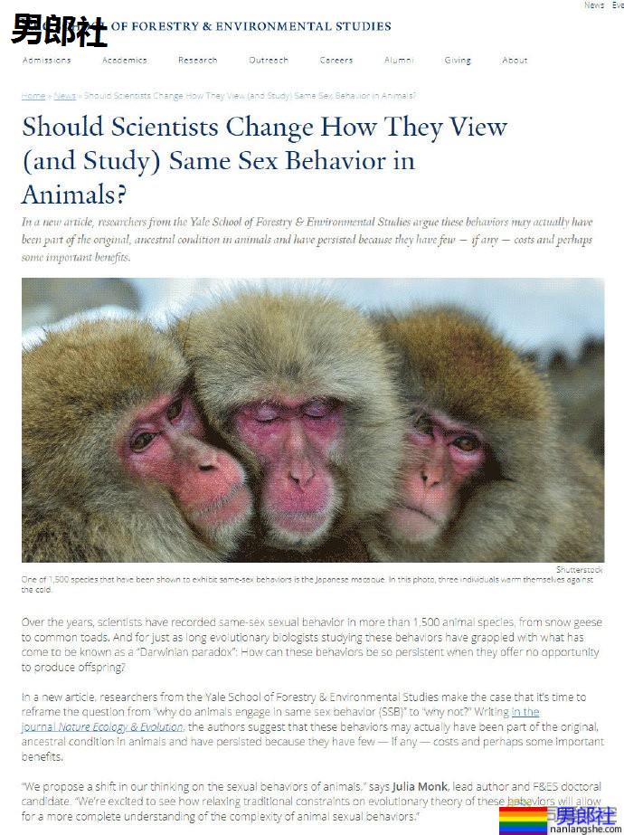 科学家提出性行为研究新视角:与其问同性恋“为何”存在,不如问“有何不可” - 51虹马 科学家提出性行为研究新视角:与其问同性恋“为何”存在,不如问“有何不可” - 51虹马