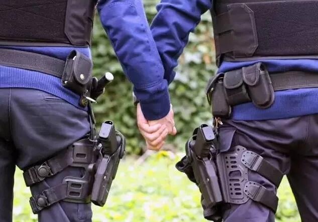 调查显示：荷兰男同性恋者家庭收入最高 - 51虹马