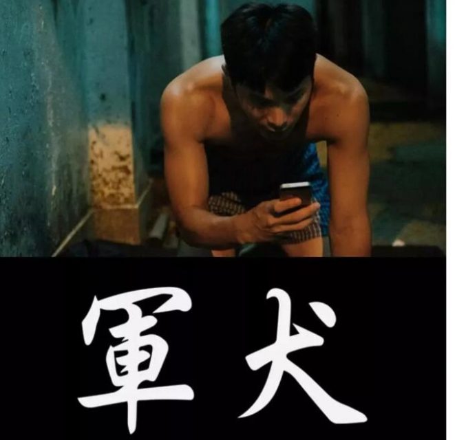 军旅题材 | 大耻度同影军犬已出+近期高颜值剧-51虹马