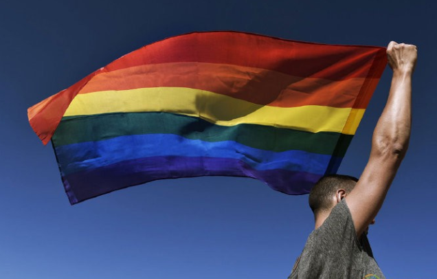 美国最大的医生组织宣布禁止“扭转疗法”-51虹马