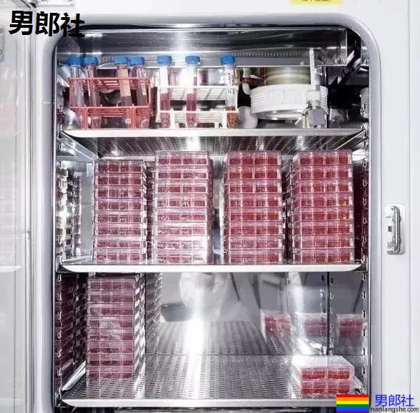 医院里割下的包皮去哪了？ - 51虹马