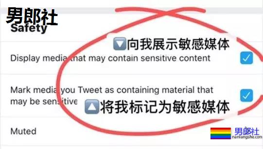 推特也要禁黄了? - 51虹马 推特也要禁黄了? - 51虹马