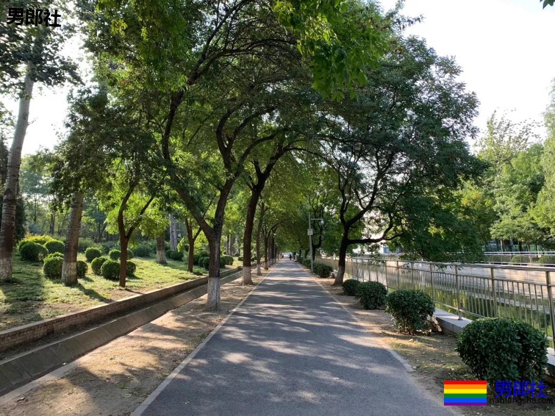 夜访北京同志据点「牡丹园」，我们发现… - 51虹马