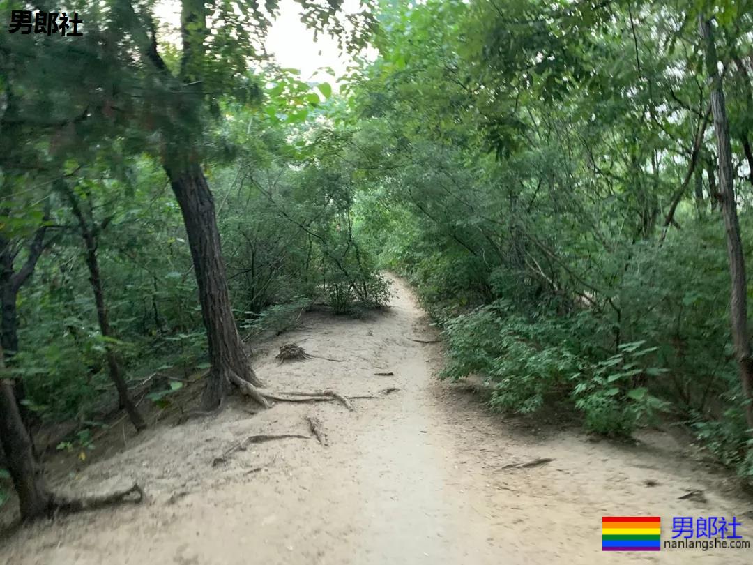 夜访北京同志据点「牡丹园」，我们发现… - 51虹马