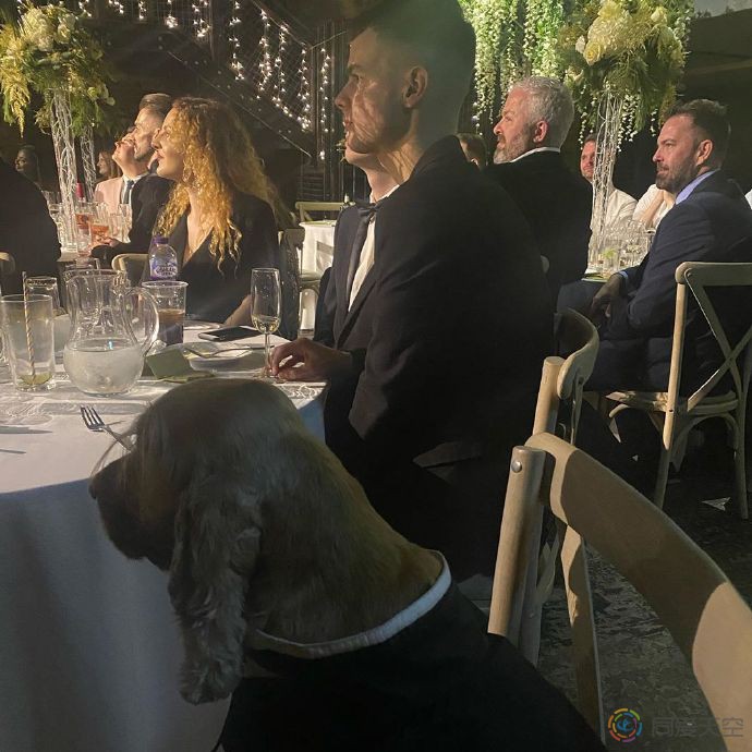 变装皇后秀冠军和男友举行婚礼 - 51虹马