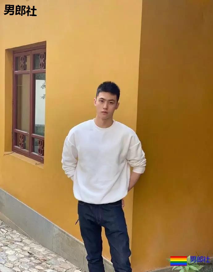 小狼狗身高成迷,可能就是在人群中多看了你一眼-51虹马