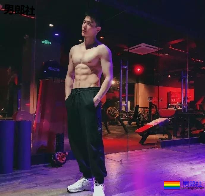 小狼狗身高成迷,可能就是在人群中多看了你一眼 - 51虹马 小狼狗身高成迷,可能就是在人群中多看了你一眼 - 51虹马