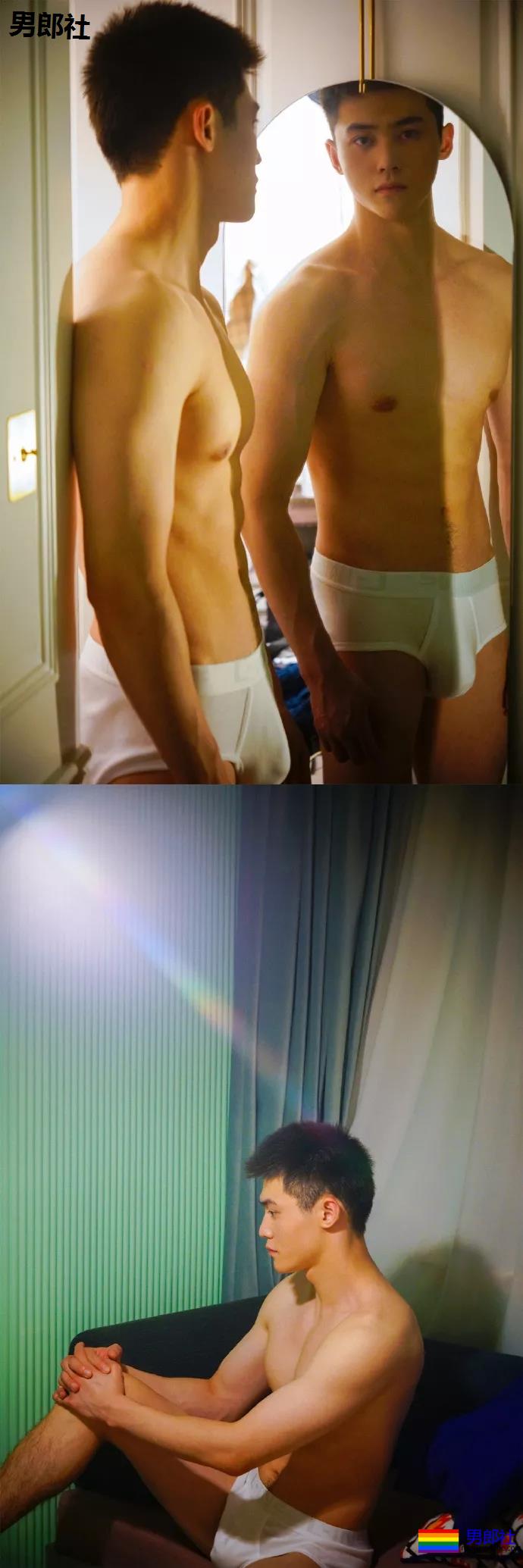 小狼狗身高成迷,可能就是在人群中多看了你一眼 - 51虹马 小狼狗身高成迷,可能就是在人群中多看了你一眼 - 51虹马