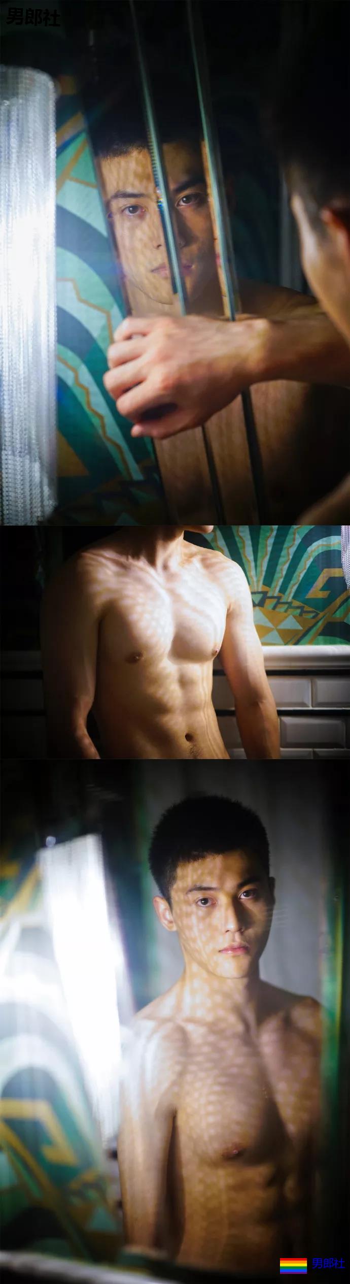 小狼狗身高成迷,可能就是在人群中多看了你一眼 - 51虹马 小狼狗身高成迷,可能就是在人群中多看了你一眼 - 51虹马