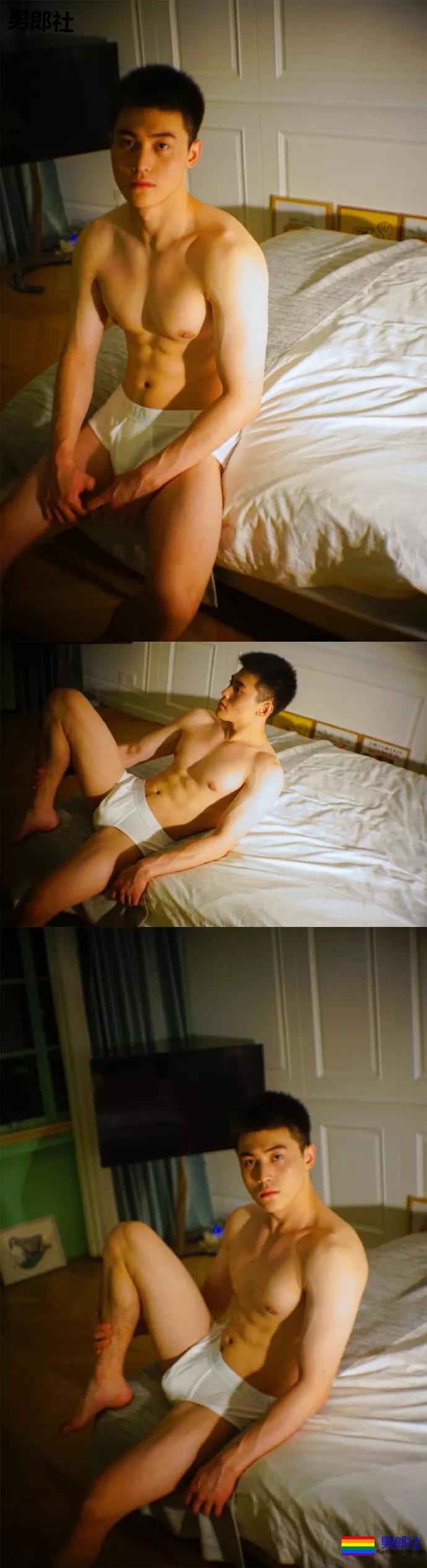 小狼狗身高成迷,可能就是在人群中多看了你一眼 - 51虹马 小狼狗身高成迷,可能就是在人群中多看了你一眼 - 51虹马