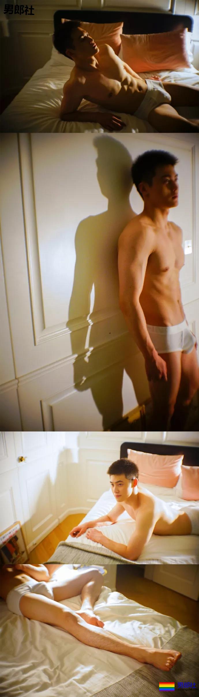 小狼狗身高成迷,可能就是在人群中多看了你一眼 - 51虹马 小狼狗身高成迷,可能就是在人群中多看了你一眼 - 51虹马