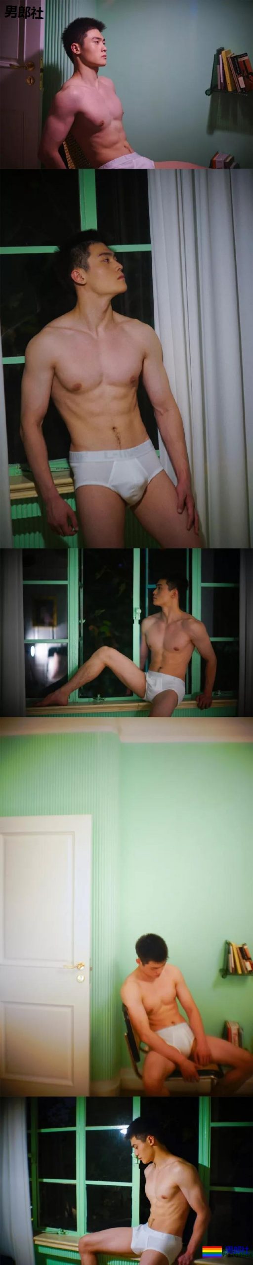 小狼狗身高成迷,可能就是在人群中多看了你一眼 - 51虹马 小狼狗身高成迷,可能就是在人群中多看了你一眼 - 51虹马