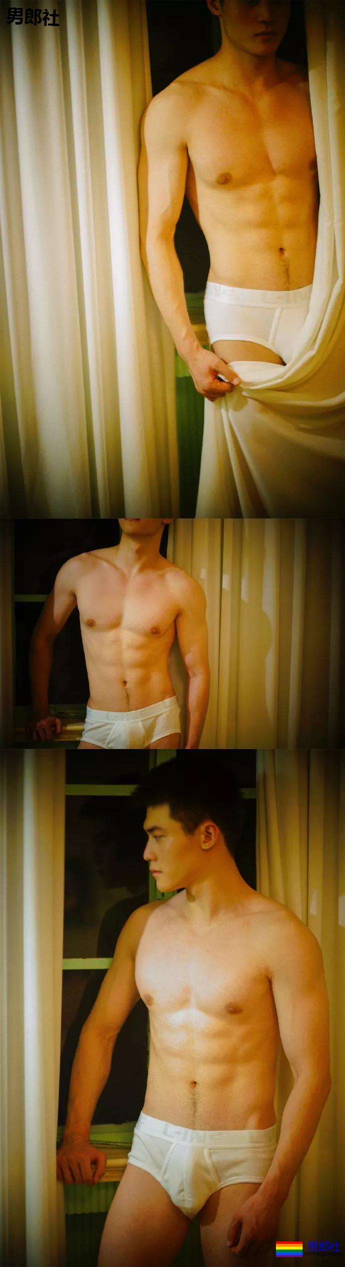 小狼狗身高成迷,可能就是在人群中多看了你一眼 - 51虹马 小狼狗身高成迷,可能就是在人群中多看了你一眼 - 51虹马