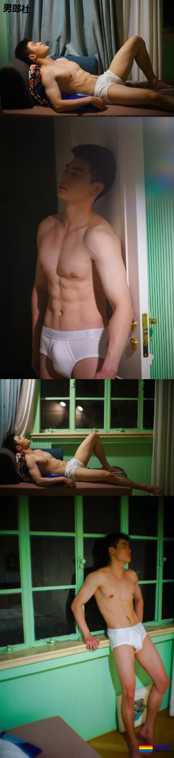 小狼狗身高成迷,可能就是在人群中多看了你一眼 - 51虹马 小狼狗身高成迷,可能就是在人群中多看了你一眼 - 51虹马