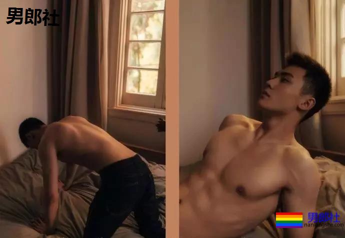 小狼狗身高成迷,可能就是在人群中多看了你一眼 - 51虹马 小狼狗身高成迷,可能就是在人群中多看了你一眼 - 51虹马