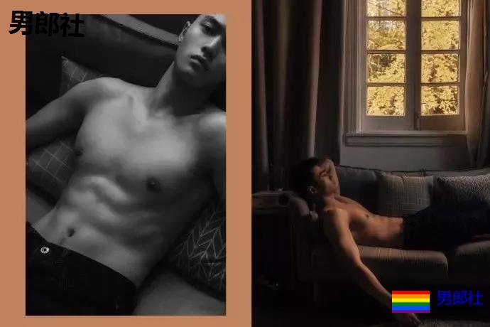 小狼狗身高成迷,可能就是在人群中多看了你一眼 - 51虹马 小狼狗身高成迷,可能就是在人群中多看了你一眼 - 51虹马