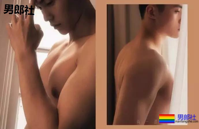 小狼狗身高成迷,可能就是在人群中多看了你一眼 - 51虹马 小狼狗身高成迷,可能就是在人群中多看了你一眼 - 51虹马