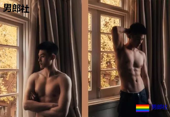 小狼狗身高成迷,可能就是在人群中多看了你一眼 - 51虹马 小狼狗身高成迷,可能就是在人群中多看了你一眼 - 51虹马