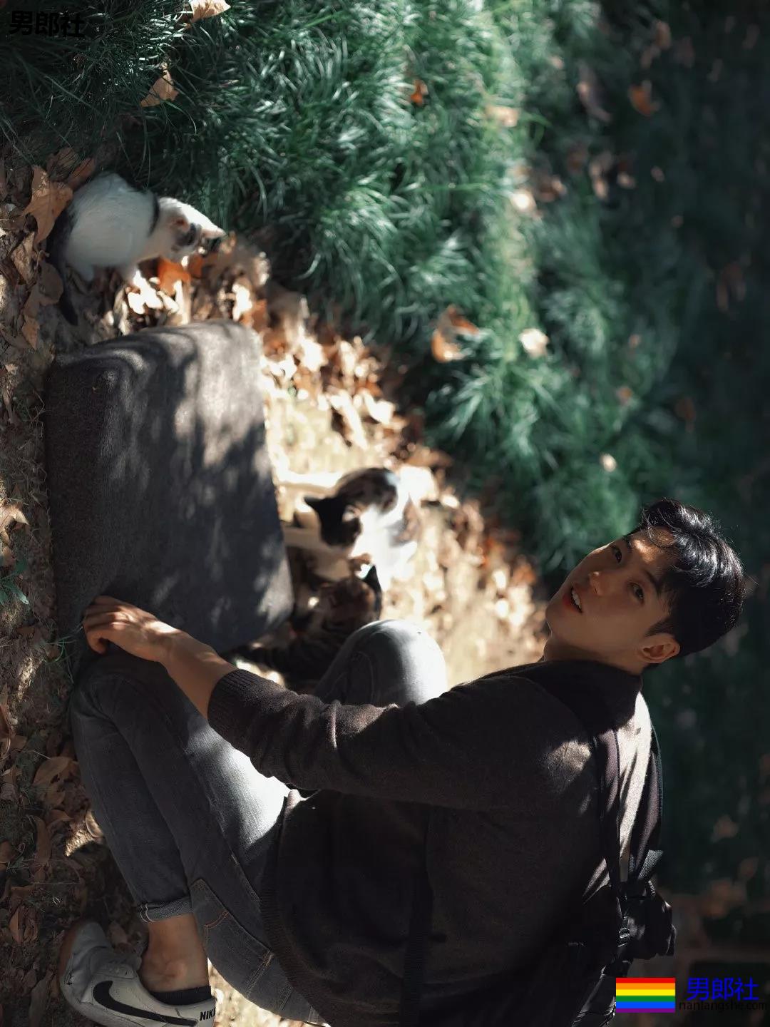 这么多帅哥？直男也扛不住了吗？ - 51虹马