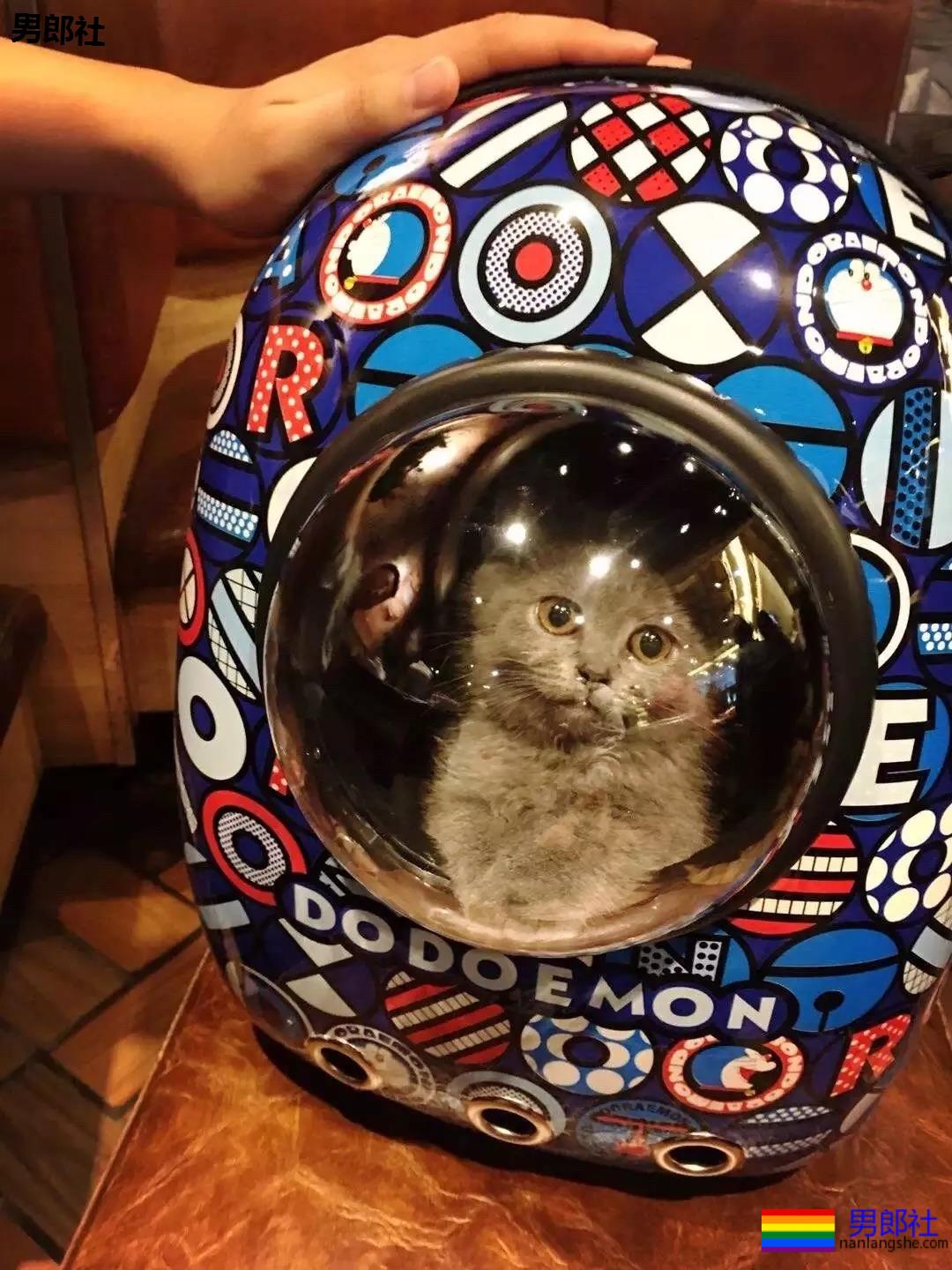 2013~2019年 | 学长撩学弟的爱情故事 - 51虹马 2013~2019年 | 学长撩学弟的爱情故事 - 51虹马