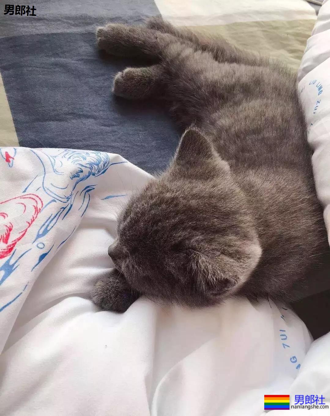 2013~2019年 | 学长撩学弟的爱情故事 - 51虹马 2013~2019年 | 学长撩学弟的爱情故事 - 51虹马