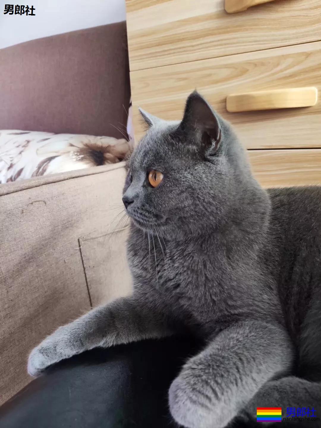 2013~2019年 | 学长撩学弟的爱情故事 - 51虹马 2013~2019年 | 学长撩学弟的爱情故事 - 51虹马