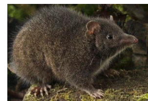 男人真的会精尽而亡吗？ - 51虹马