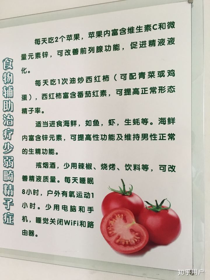 备孕期间的男性改吃什么来提高精子质量,整理给形婚生子的同志 - 51虹马