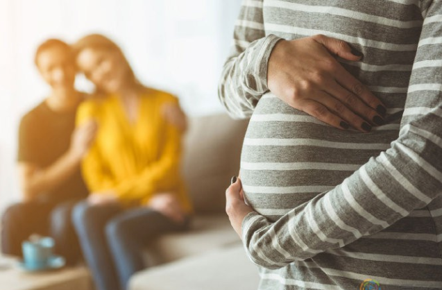 纽约州将取消代孕禁令并立法规范 - 51虹马 纽约州将取消代孕禁令并立法规范 - 51虹马