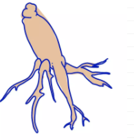 增睾必吃的9种食物！吃完让你御1有道，驾0有劲 - 51虹马