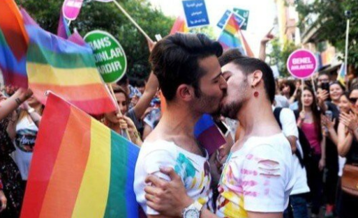 智利国会参议院通过初步的同性婚姻法案 - 51虹马