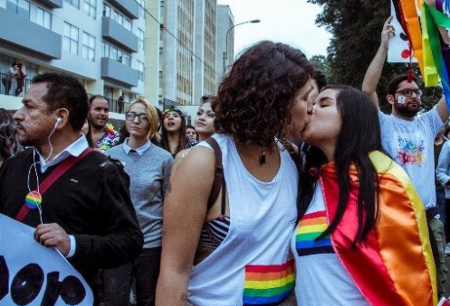 智利国会参议院通过初步的同性婚姻法案 - 51虹马