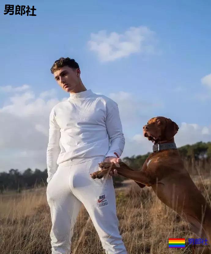 看完这只小狼狗立刻去买NIKE - 51虹马 看完这只小狼狗立刻去买NIKE - 51虹马