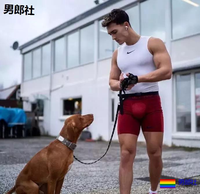 看完这只小狼狗立刻去买NIKE - 51虹马 看完这只小狼狗立刻去买NIKE - 51虹马