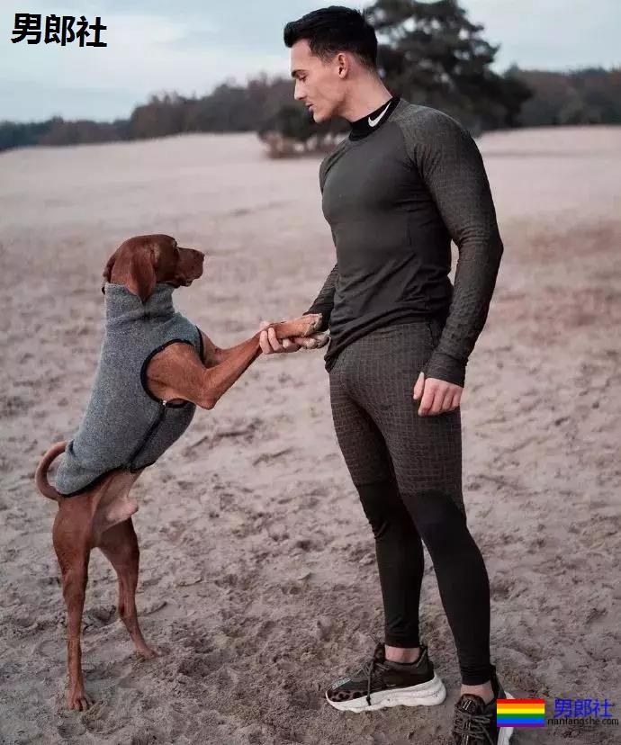 看完这只小狼狗立刻去买NIKE - 51虹马 看完这只小狼狗立刻去买NIKE - 51虹马