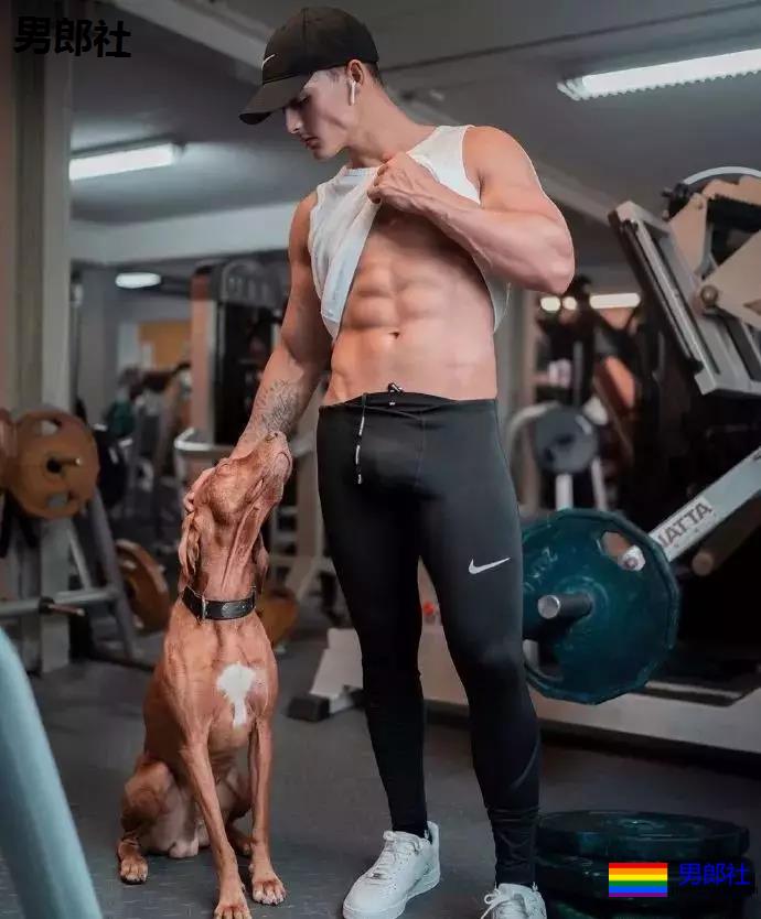 看完这只小狼狗立刻去买NIKE - 51虹马 看完这只小狼狗立刻去买NIKE - 51虹马