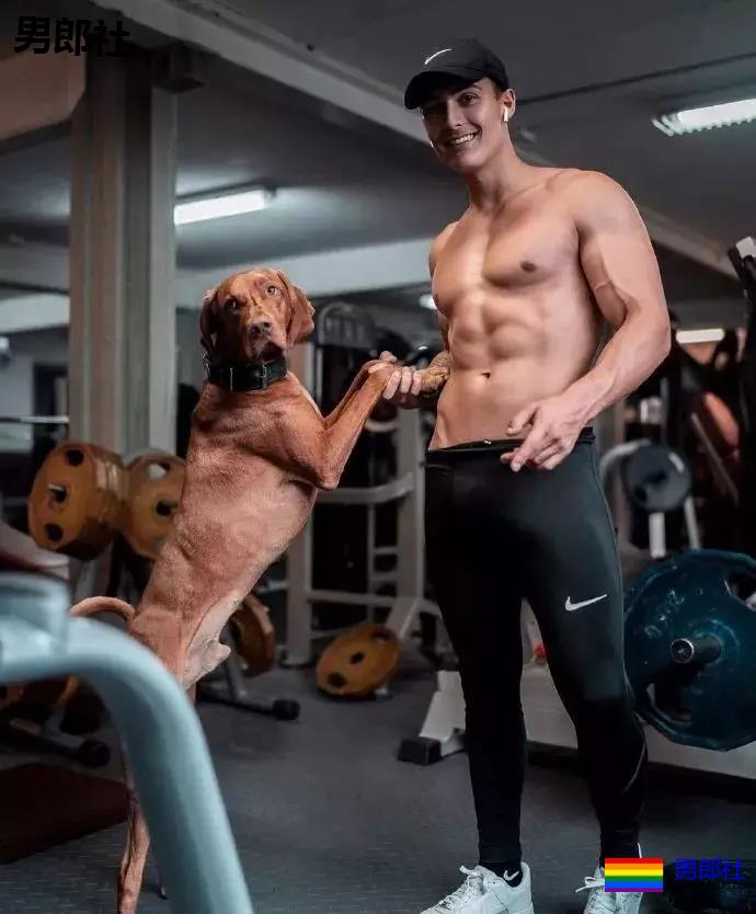 看完这只小狼狗立刻去买NIKE - 51虹马 看完这只小狼狗立刻去买NIKE - 51虹马