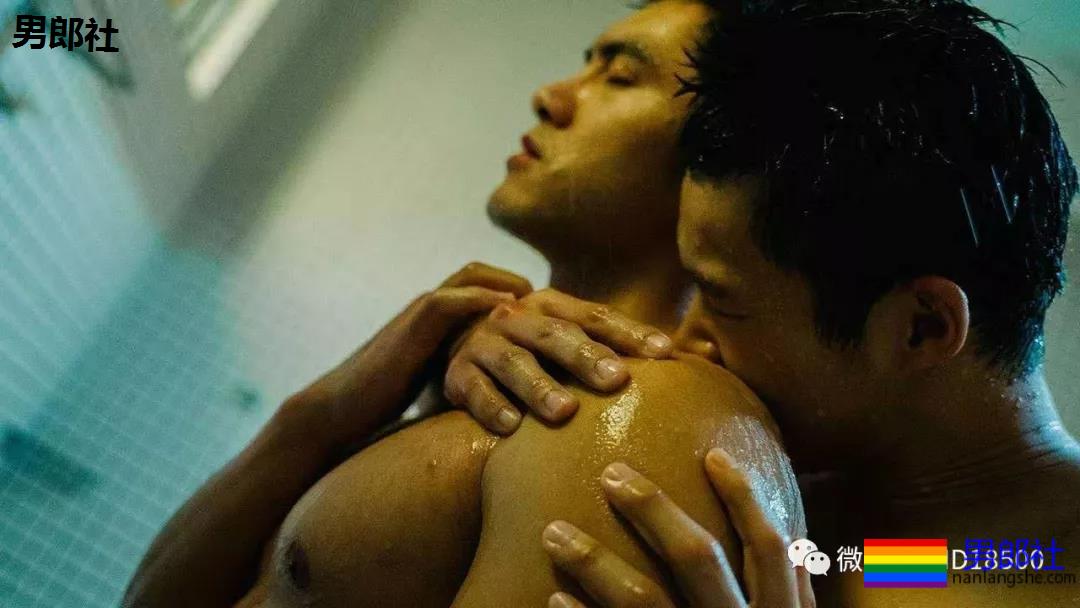 情人节6部国产新剧！加一部赤鸡日剧！你最期待那部！ - 51虹马