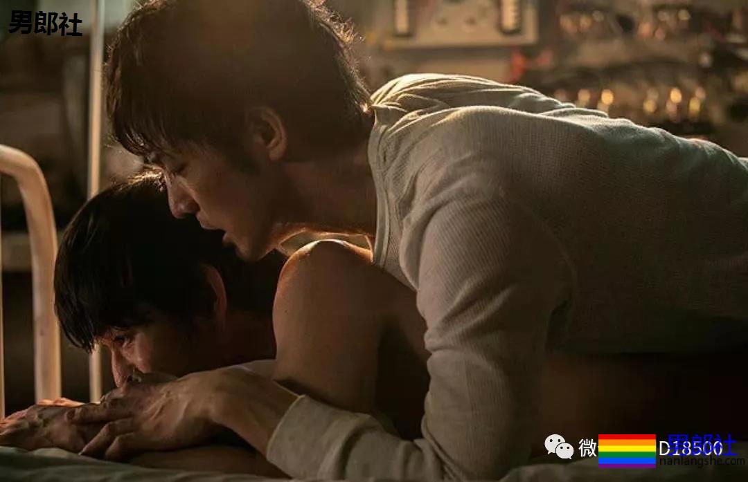 情人节6部国产新剧！加一部赤鸡日剧！你最期待那部！ - 51虹马