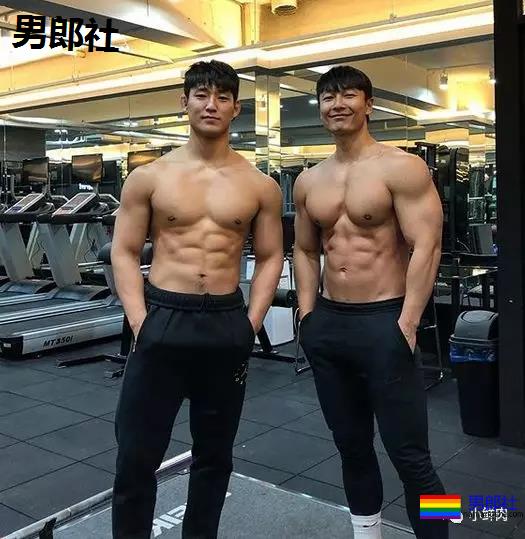 忠犬摔跤运动员被盯上了,这看点不输宁泽涛陈艾森! - 51虹马 忠犬摔跤运动员被盯上了,这看点不输宁泽涛陈艾森! - 51虹马