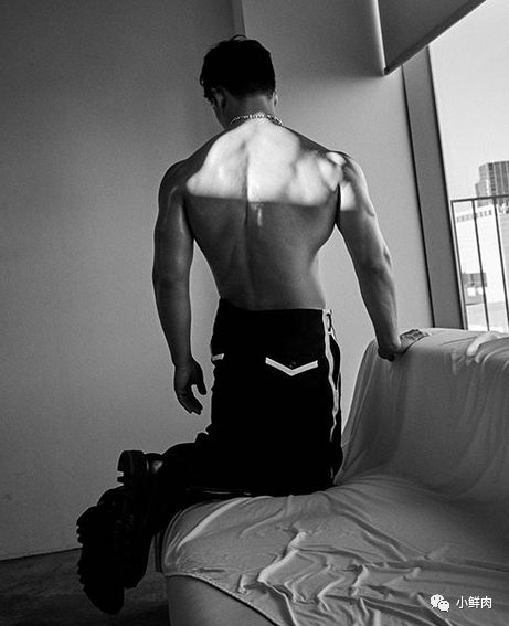 忠犬摔跤运动员被盯上了,这看点不输宁泽涛陈艾森! - 51虹马 忠犬摔跤运动员被盯上了,这看点不输宁泽涛陈艾森! - 51虹马