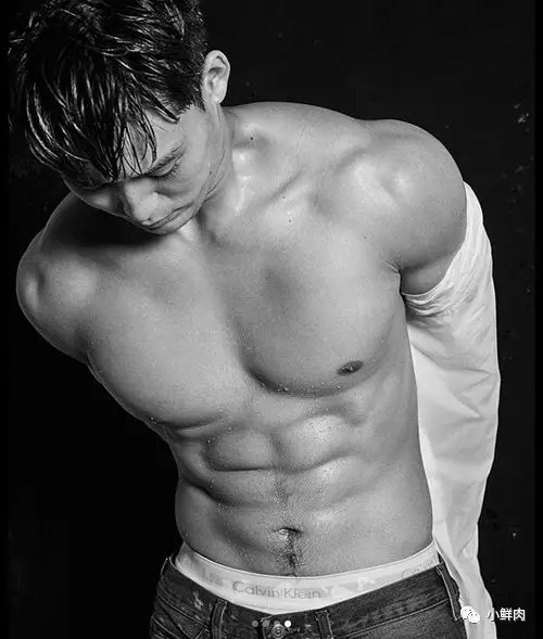 忠犬摔跤运动员被盯上了,这看点不输宁泽涛陈艾森! - 51虹马 忠犬摔跤运动员被盯上了,这看点不输宁泽涛陈艾森! - 51虹马