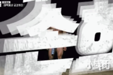 忠犬摔跤运动员被盯上了,这看点不输宁泽涛陈艾森! - 51虹马 忠犬摔跤运动员被盯上了,这看点不输宁泽涛陈艾森! - 51虹马