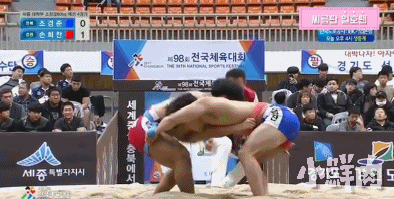 忠犬摔跤运动员被盯上了,这看点不输宁泽涛陈艾森! - 51虹马 忠犬摔跤运动员被盯上了,这看点不输宁泽涛陈艾森! - 51虹马