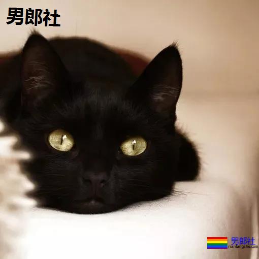 无意中关注了个“色情博主”,结果和他恋爱了 - 51虹马 无意中关注了个“色情博主”,结果和他恋爱了 - 51虹马