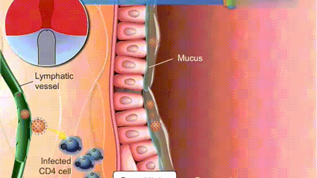 那些无套啪的人，最后都怎么样了 - 51虹马